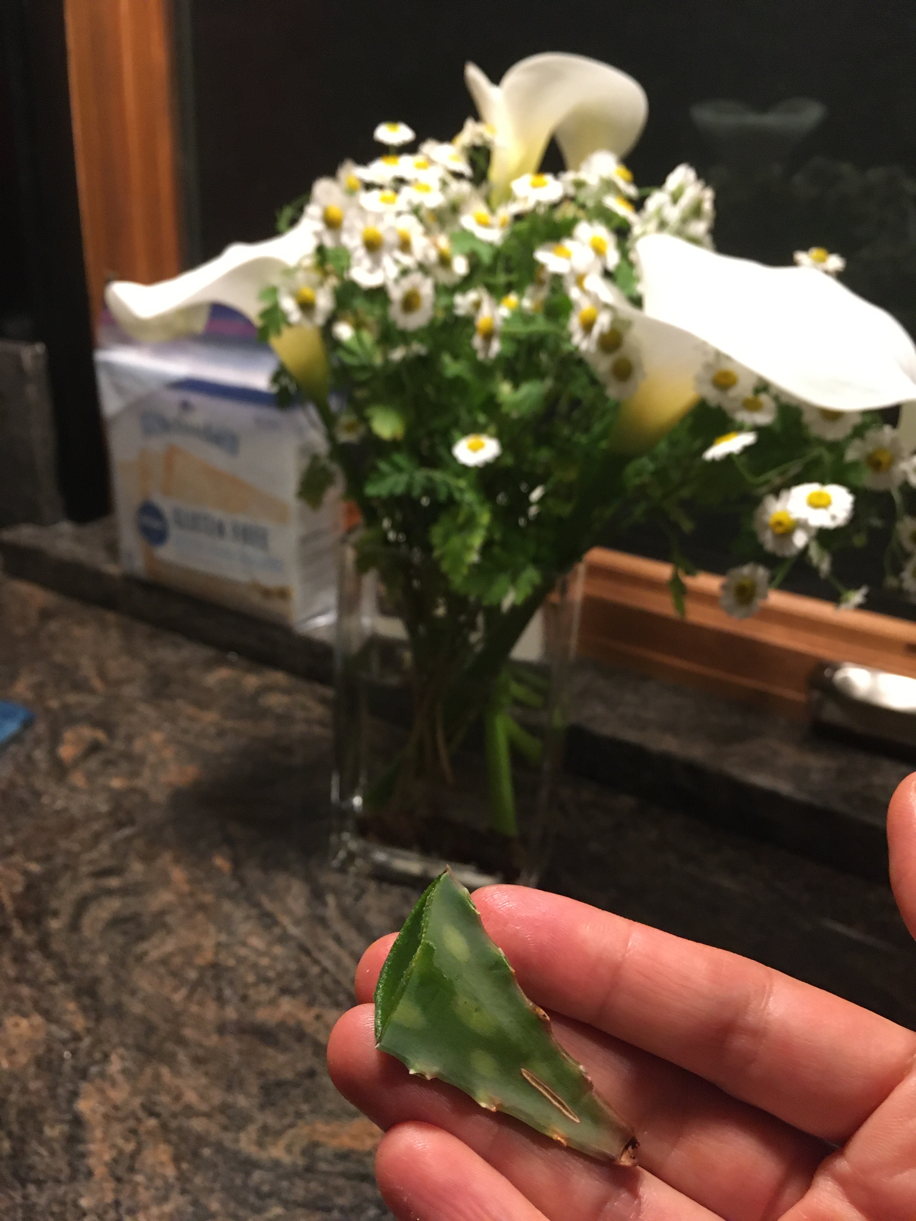 Photo of my hand holding a piece of aloe in the foreground, with a background of a black countertop including a vase with white flowers.